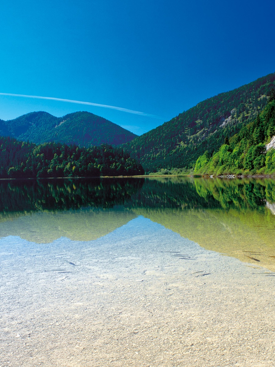 /pcms/tmp/6900bfa7ed626_Weitsee Niederstrasser.jpg